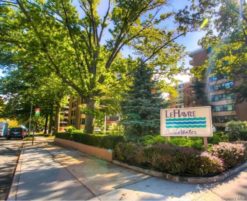 Coop 166th  Queens, NY 11357, MLS-966673-9