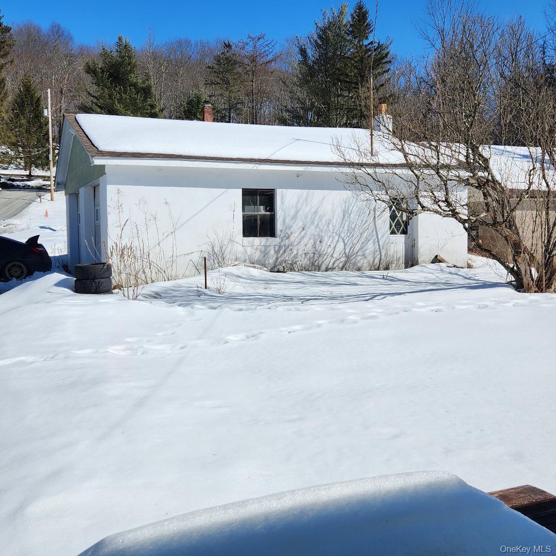 Single Family State Route 42  Sullivan County, NY 12788, MLS-966708-5