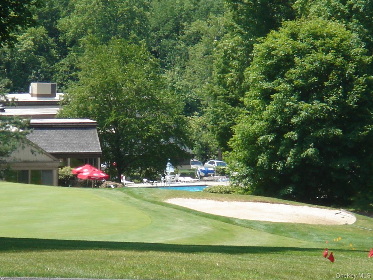 Condo Heritage Westchester County, NY 10589, MLS-966722-21