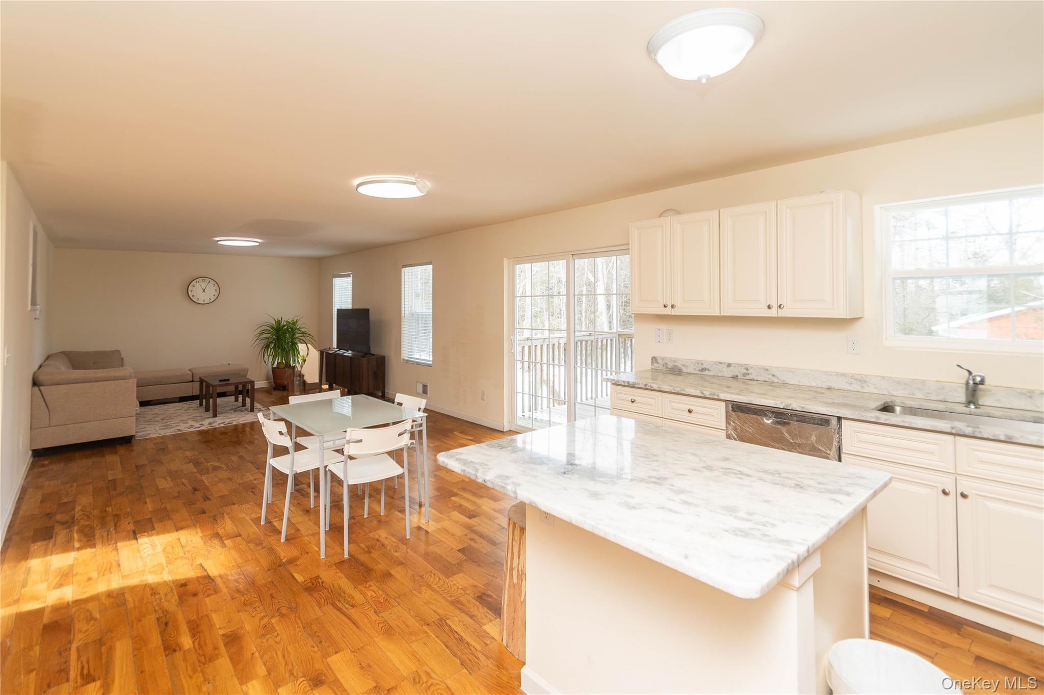 Single Family Bristol  Sullivan County, NY 12775, MLS-966768-4