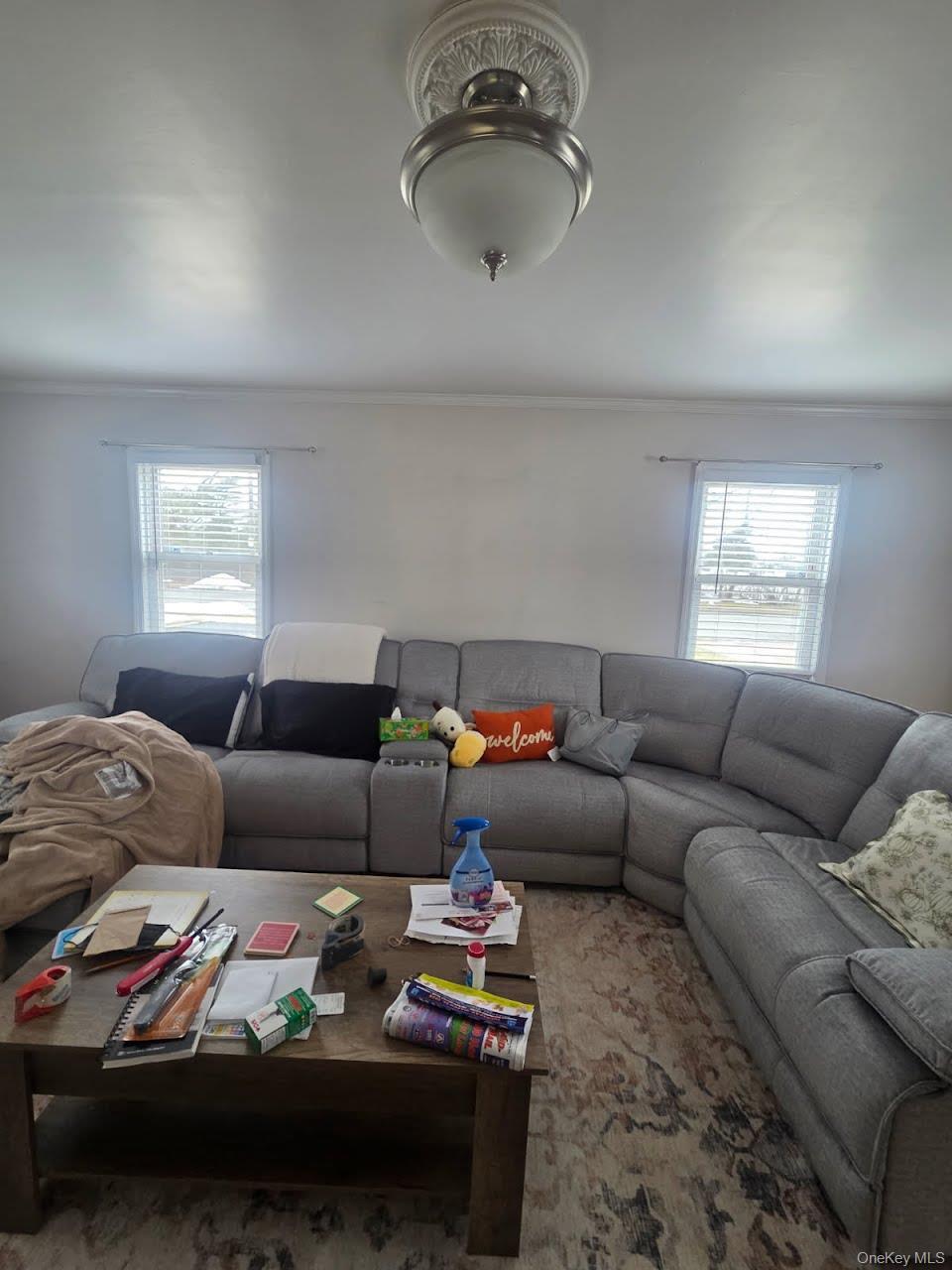 Single Family Sunset  Nassau County, NY 11550, MLS-966839-7