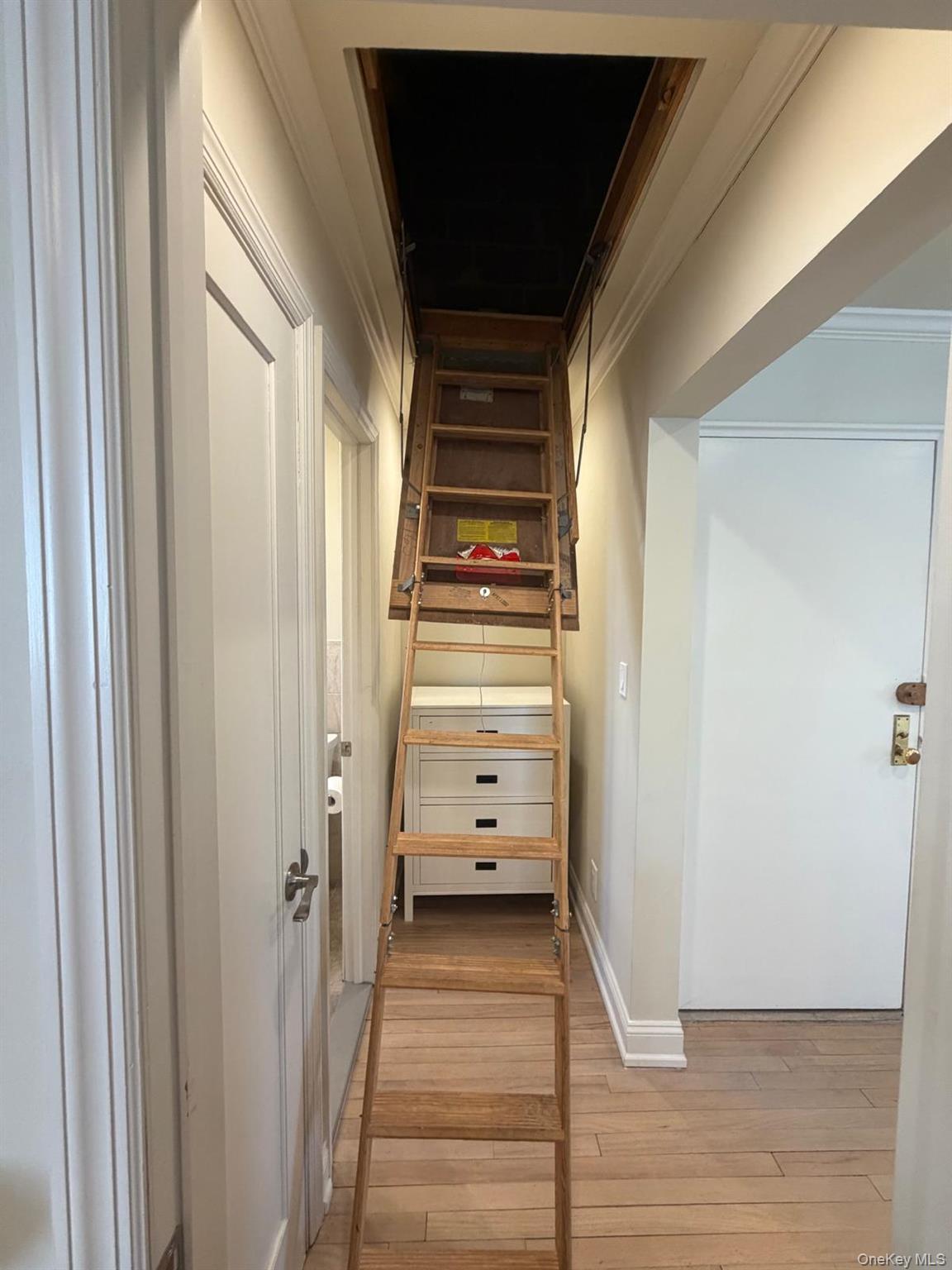 Coop 166th  Queens, NY 11357, MLS-966928-29