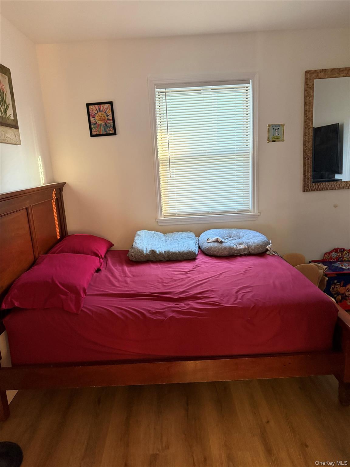 Single Family 170th  Queens, NY 11434, MLS-966947-29