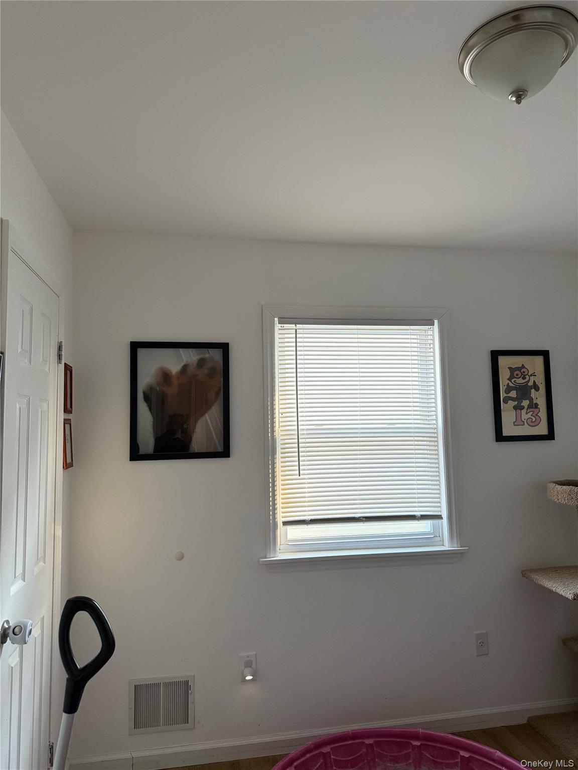 Single Family 170th  Queens, NY 11434, MLS-966947-32