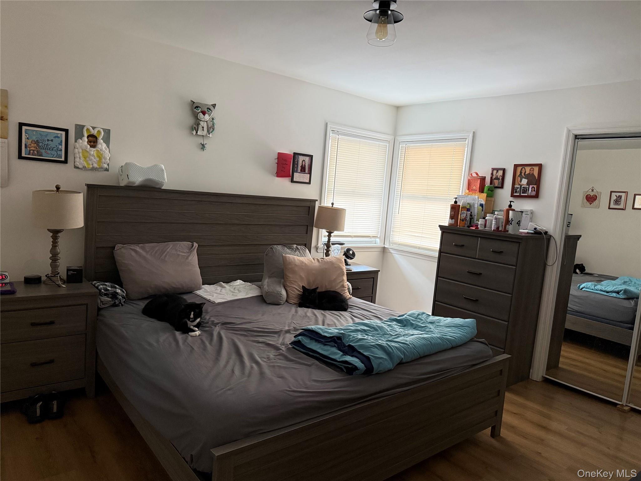 Single Family 170th  Queens, NY 11434, MLS-966947-35