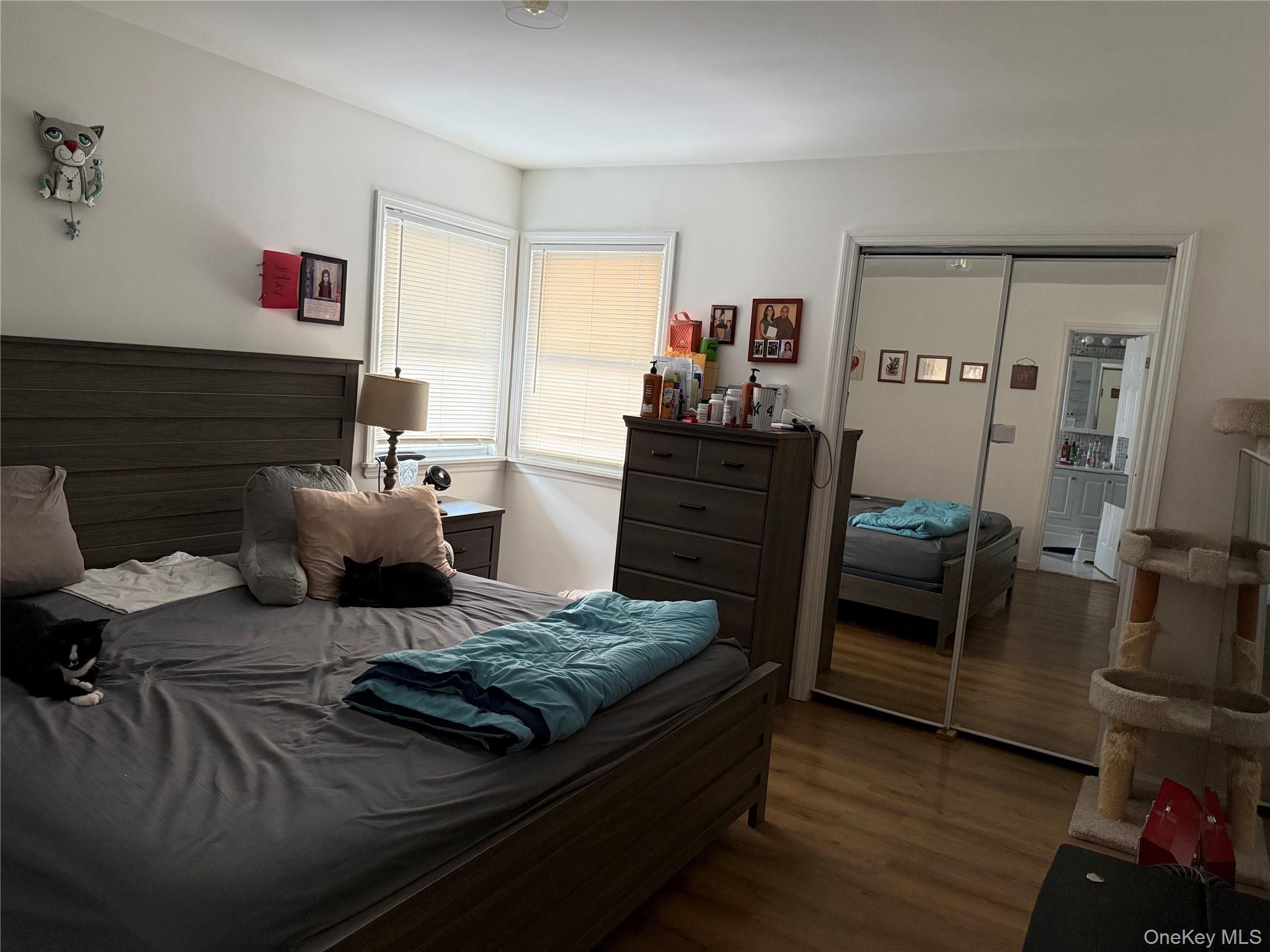 Single Family 170th  Queens, NY 11434, MLS-966947-36