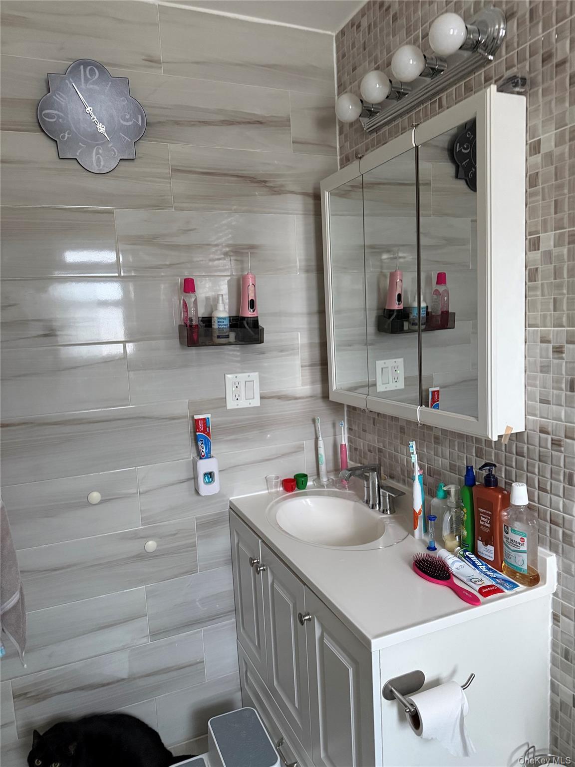 Single Family 170th  Queens, NY 11434, MLS-966947-38