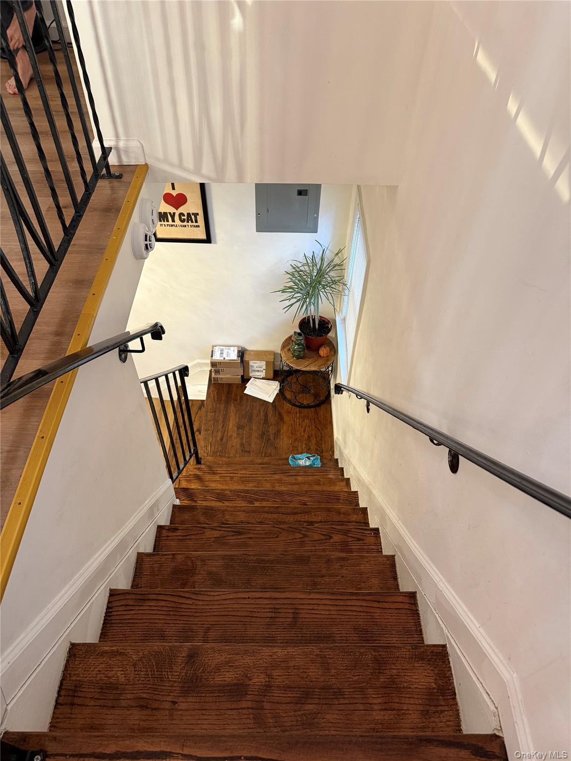 Single Family 170th  Queens, NY 11434, MLS-966947-40