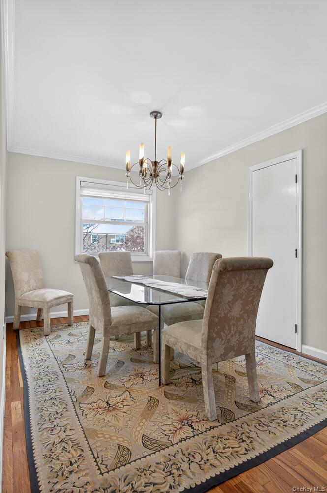 Coop 252nd  Queens, NY 11362, MLS-967035-10