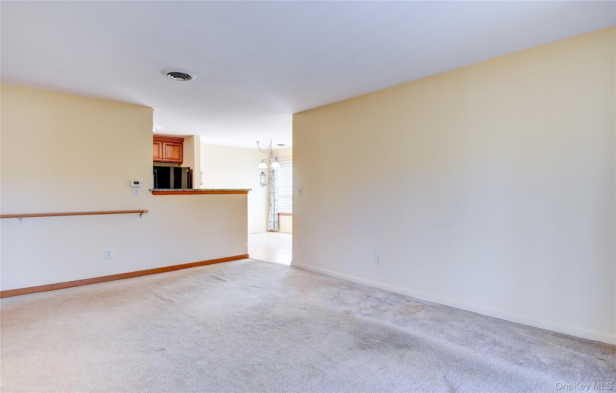 Condo Rosewood  Orange County, NY 10930, MLS-967054-21