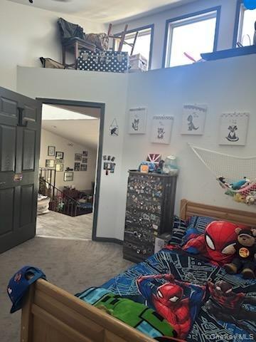 Single Family Dorm Drive  Sullivan County, NY 12747, MLS-967062-22