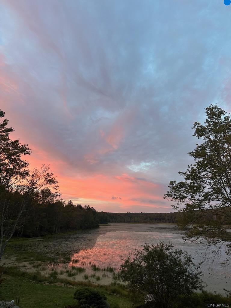 Single Family Dorm Drive  Sullivan County, NY 12747, MLS-967062-4