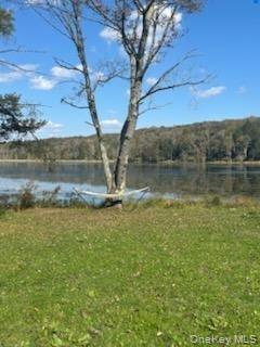 Single Family Dorm Drive  Sullivan County, NY 12747, MLS-967062-5