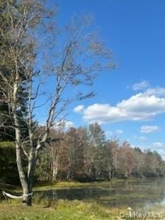 Single Family Dorm Drive  Sullivan County, NY 12747, MLS-967062-6