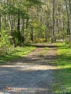 Single Family Dorm Drive  Sullivan County, NY 12747, MLS-967062-7