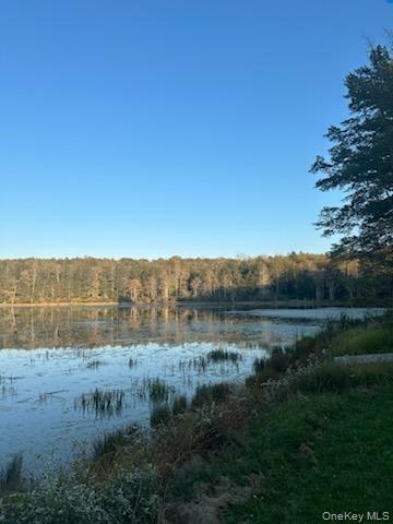 Single Family Dorm Drive  Sullivan County, NY 12747, MLS-967062-8