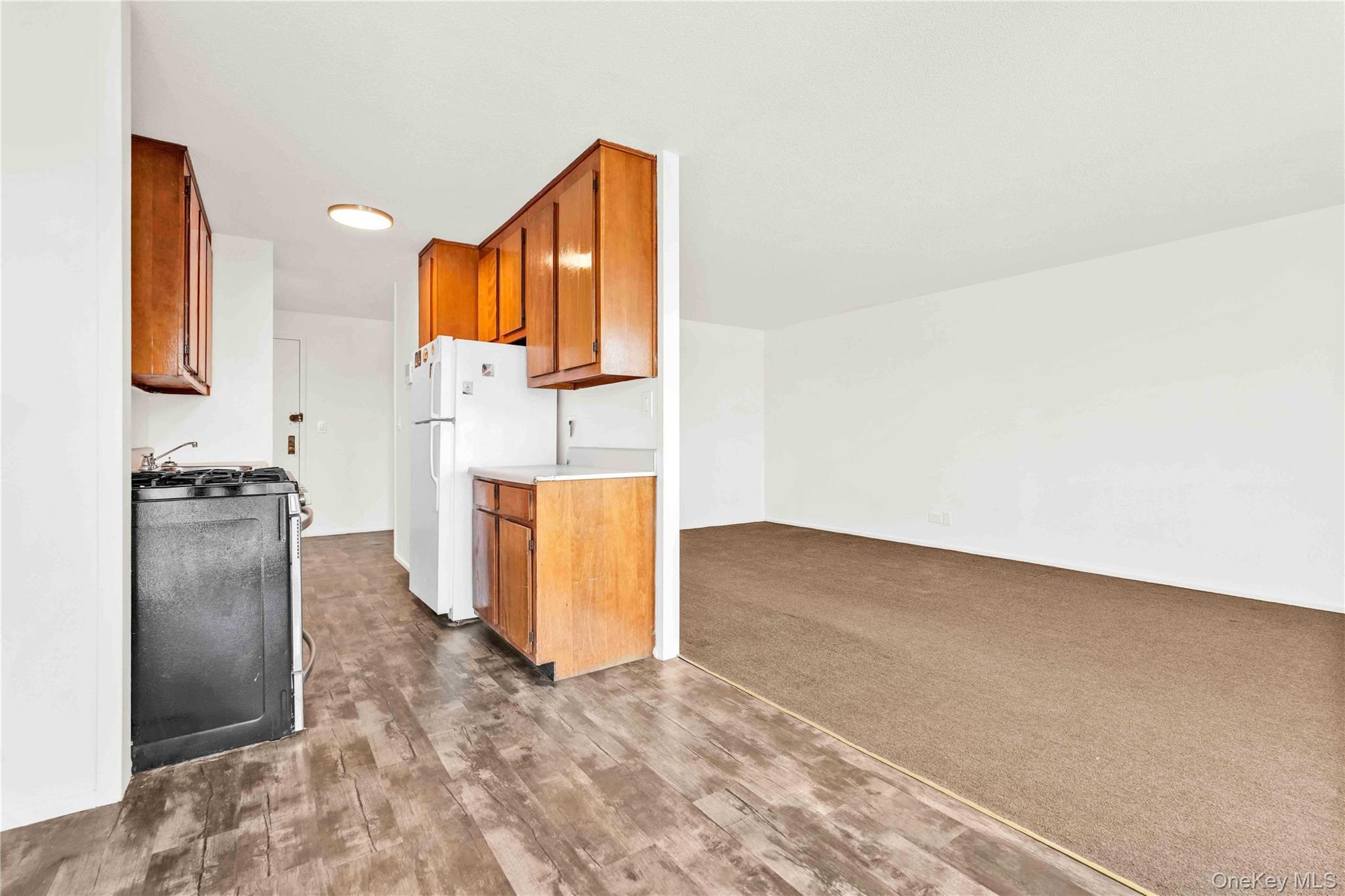 Coop 232nd  Bronx, NY 10463, MLS-967108-12