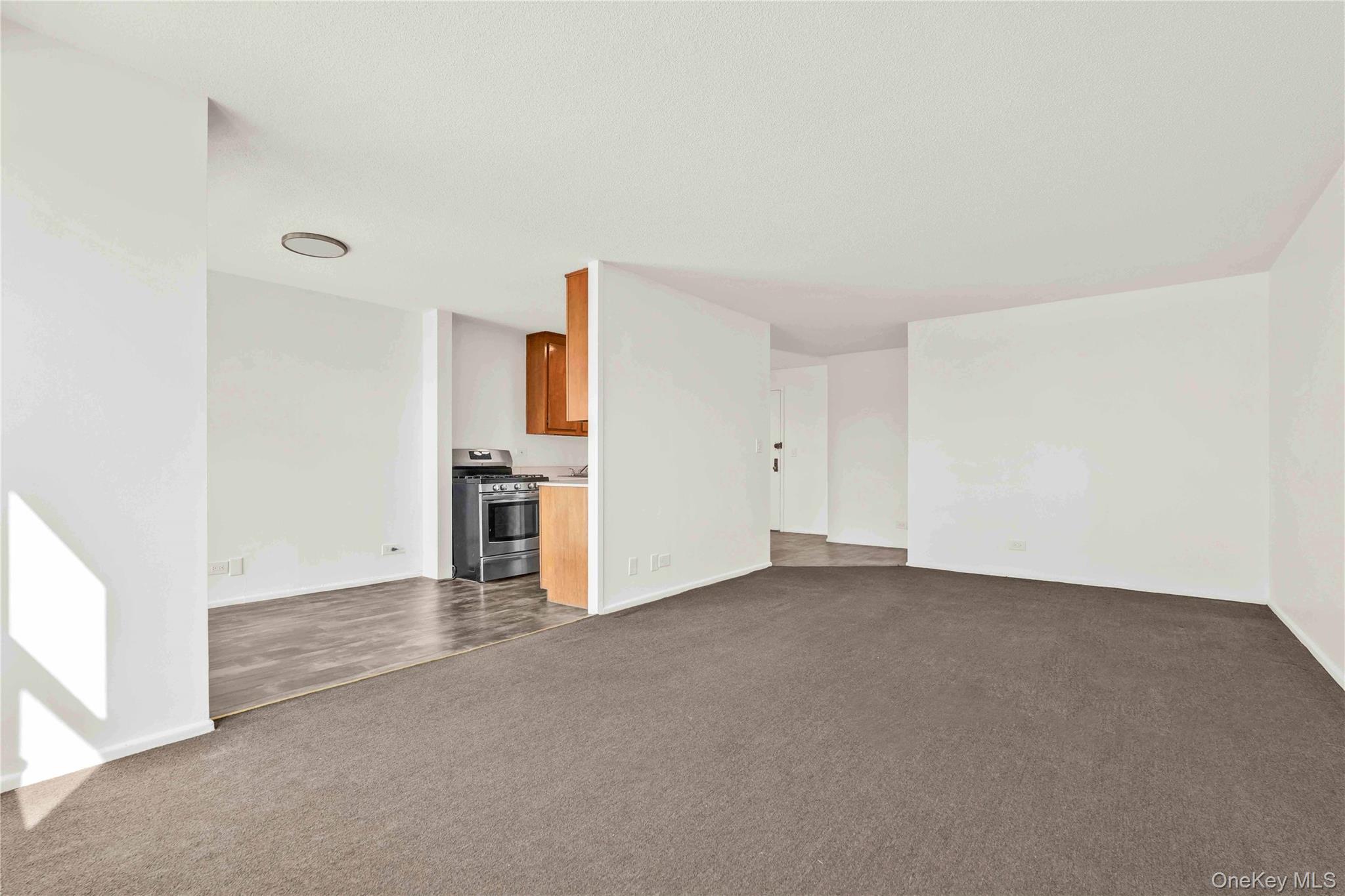 Coop 232nd  Bronx, NY 10463, MLS-967108-4