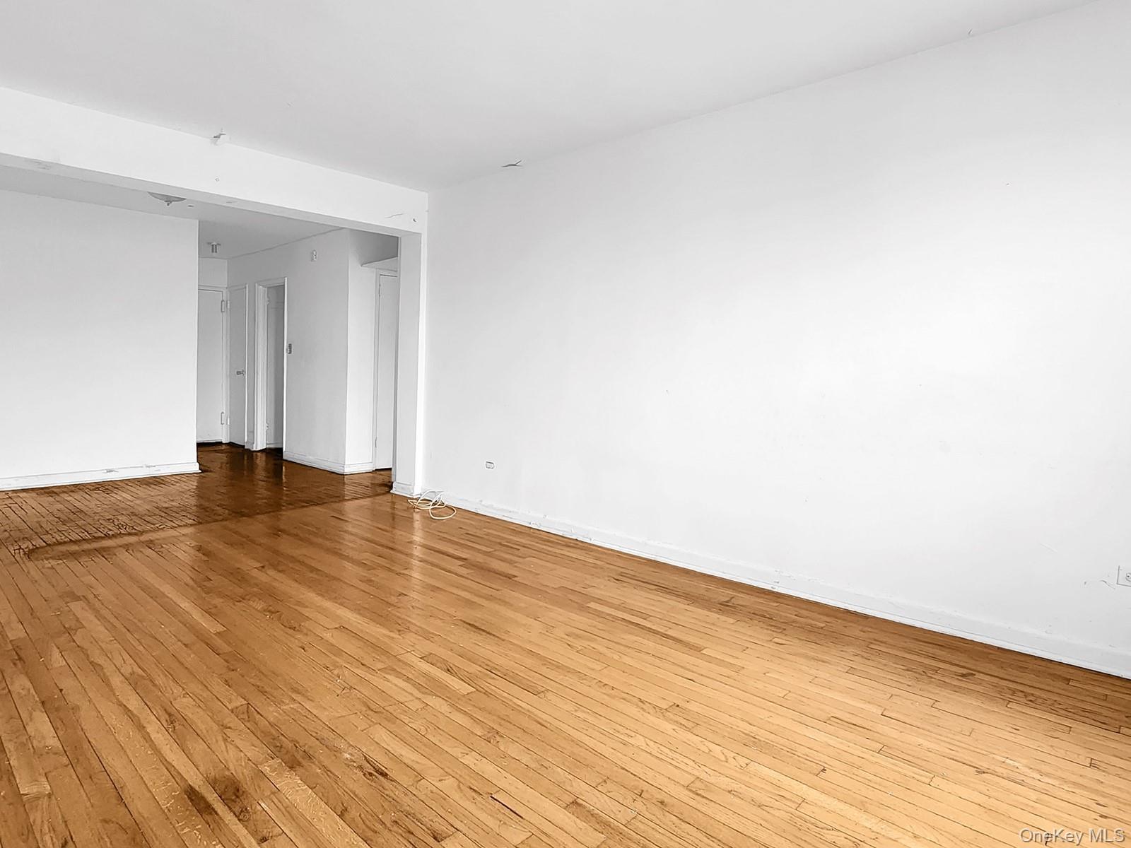 Condo Roosevelt  Queens, NY 11354, MLS-967138-2