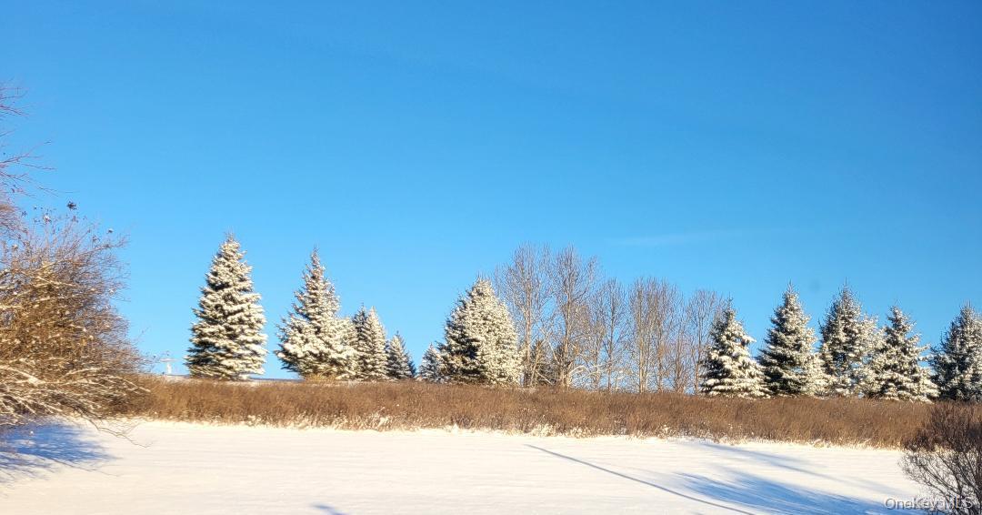 Single Family Grovenors Corners  Out Of Area, NY 12043, MLS-967140-46