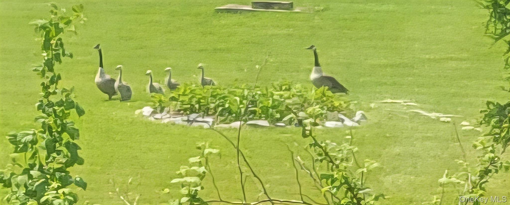 Single Family Grovenors Corners  Out Of Area, NY 12043, MLS-967140-48