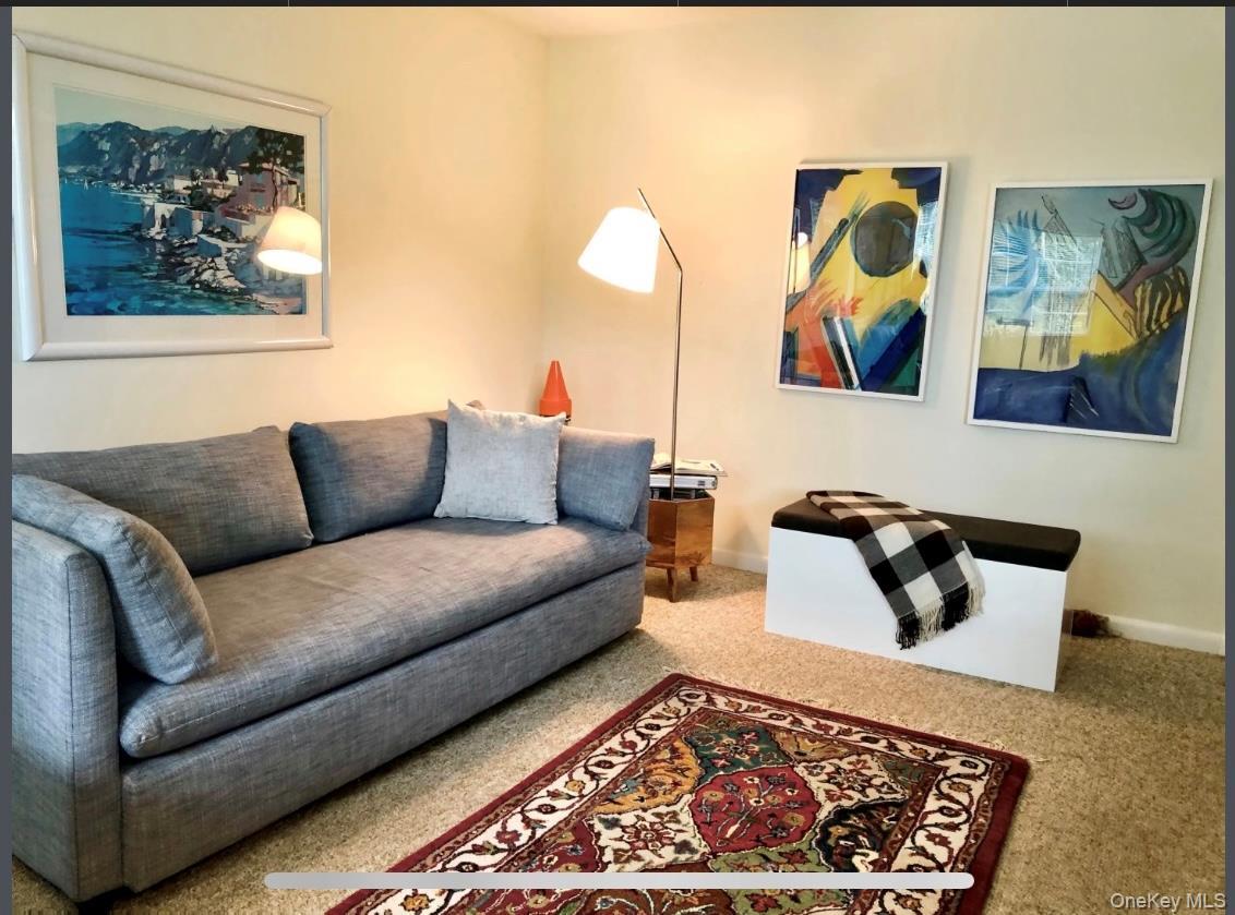 Coop Canoe Place  Suffolk County, NY 11946, MLS-967142-11