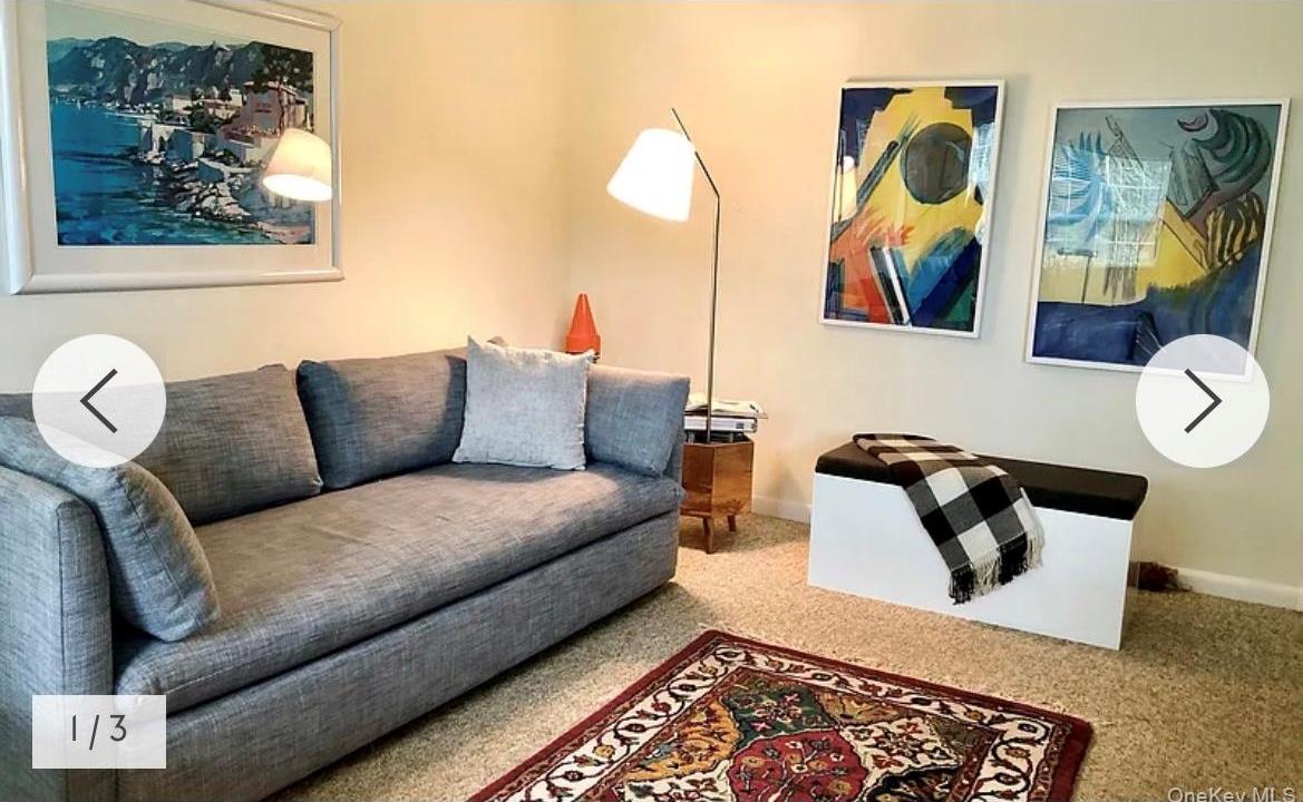 Coop Canoe Place  Suffolk County, NY 11946, MLS-967142-12