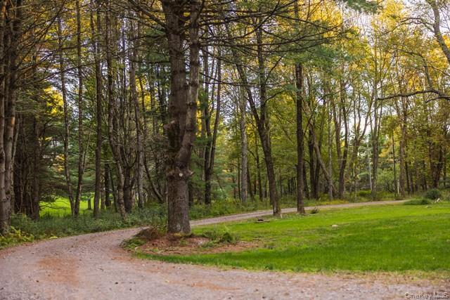 Single Family Chapin Trail Sullivan County, NY 12720, MLS-967208-30
