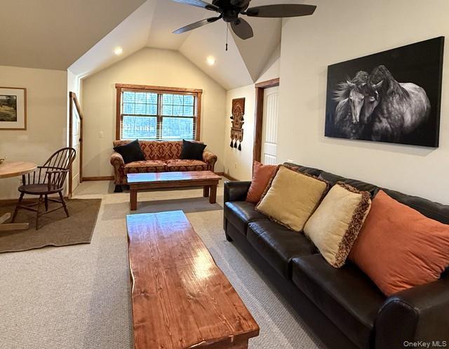 Single Family Chapin Trail Sullivan County, NY 12720, MLS-967208-32