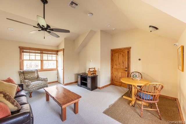 Single Family Chapin Trail Sullivan County, NY 12720, MLS-967208-33
