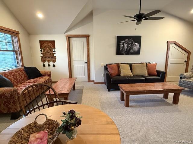 Single Family Chapin Trail Sullivan County, NY 12720, MLS-967208-35