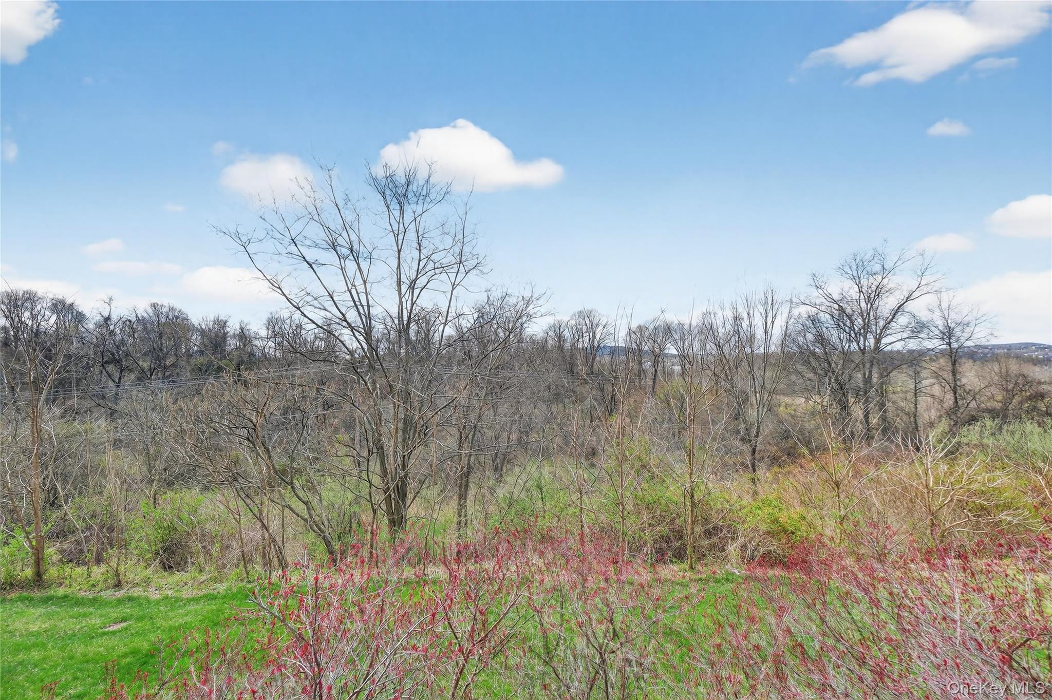 Condo River Dutchess County, NY 12508, MLS-967226-39