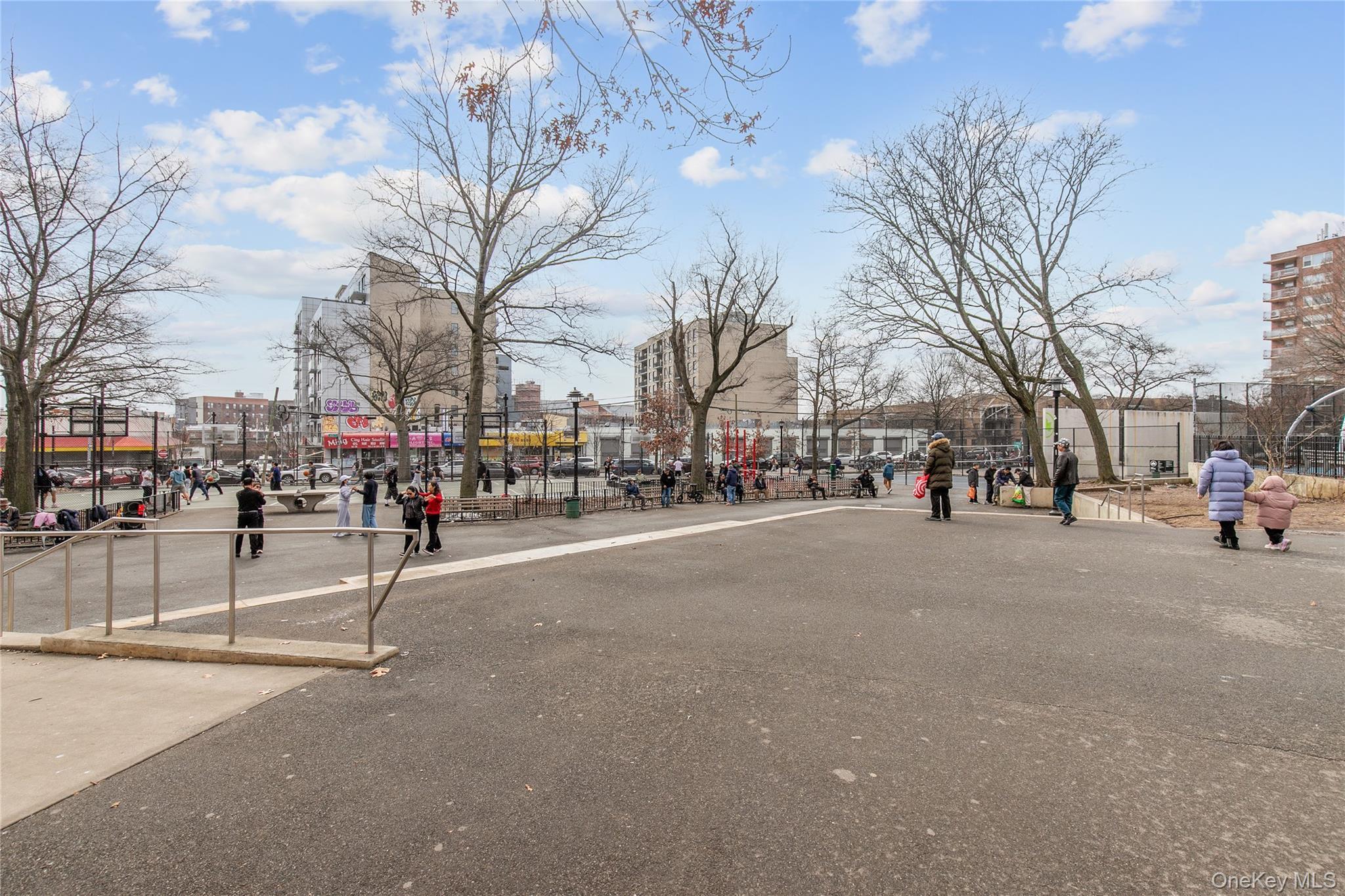 Coop Vietor  Queens, NY 11373, MLS-967283-16