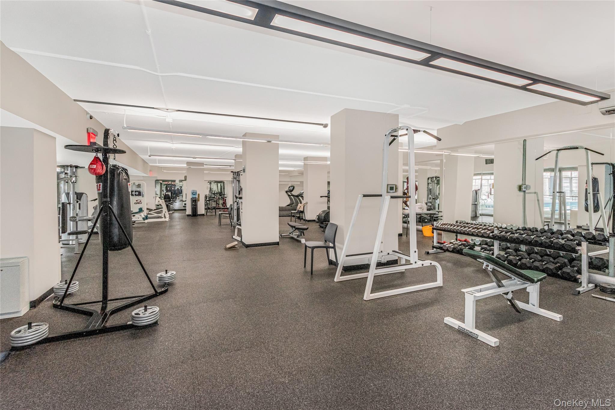 Coop Johnson  Bronx, NY 10463, MLS-967371-13