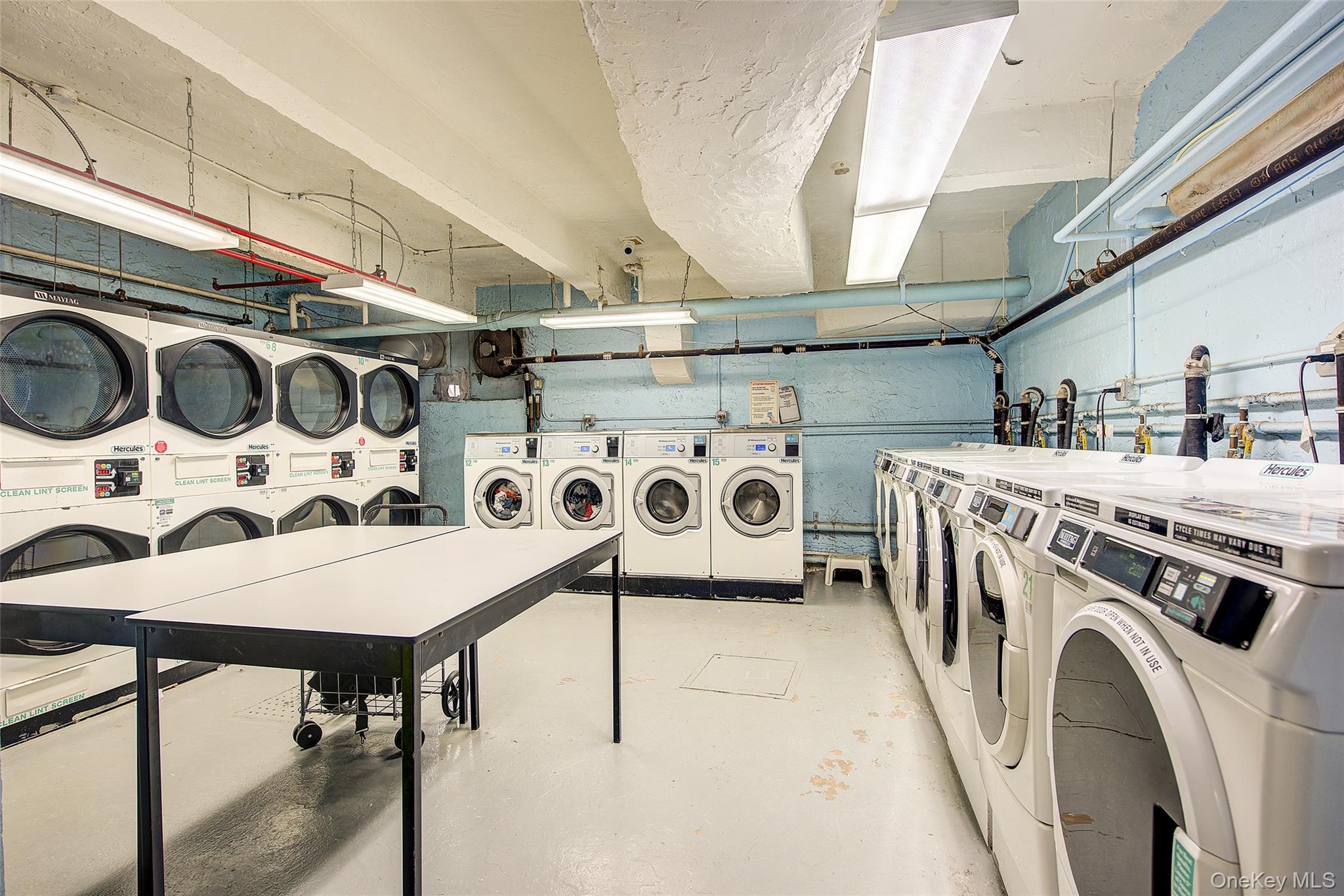 Coop Vietor  Queens, NY 11373, MLS-967394-14