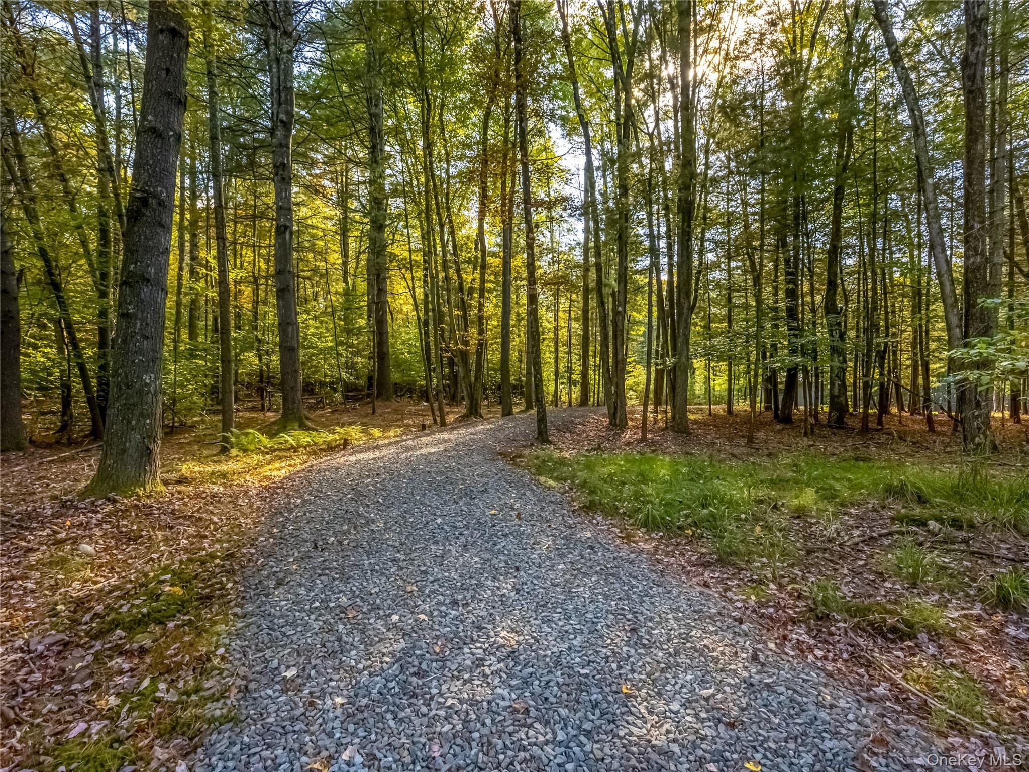 Single Family Top Ridge Trail  Sullivan County, NY 12786, MLS-967444-46