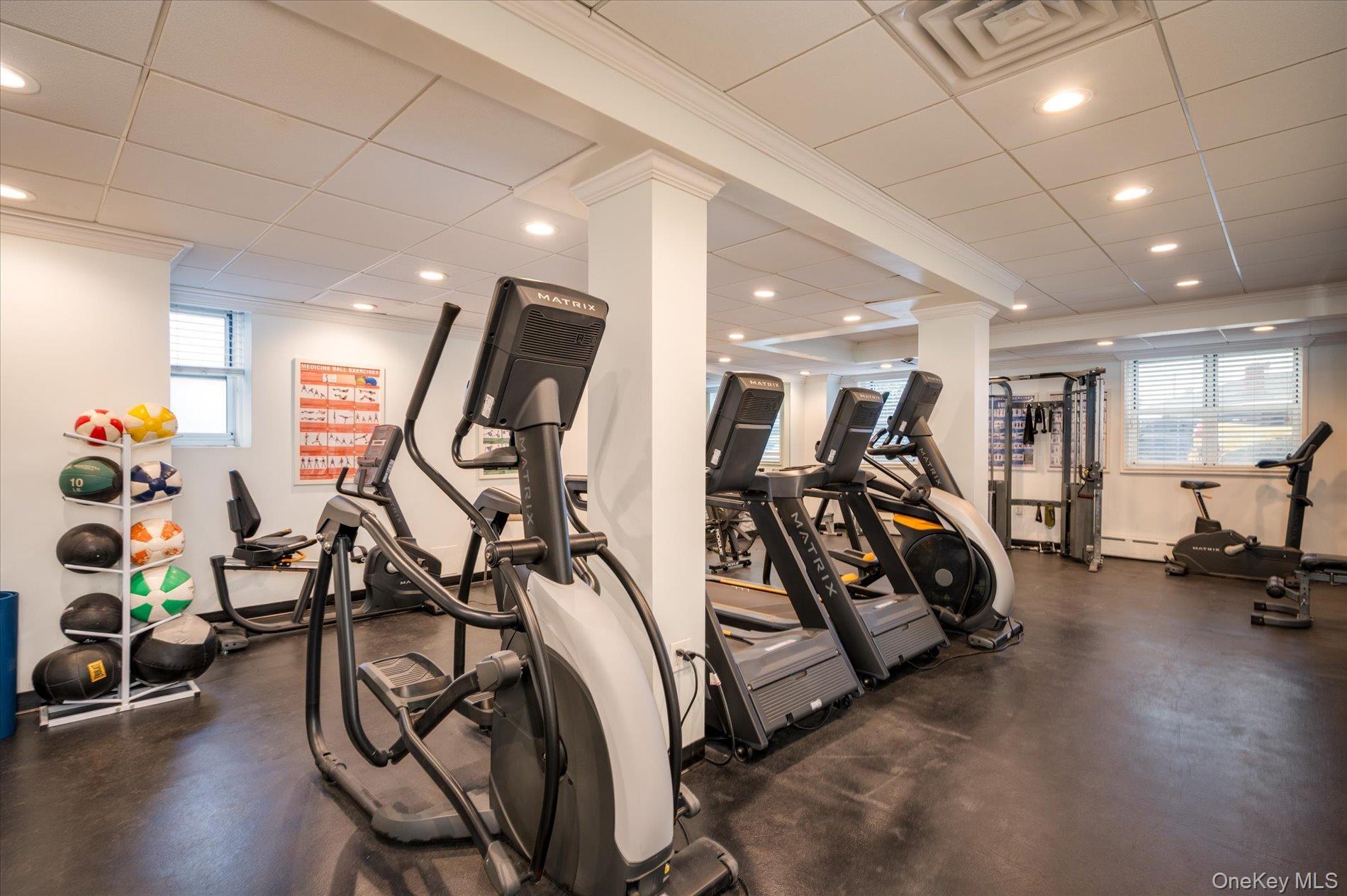 Coop Shore  Nassau County, NY 11561, MLS-967507-21