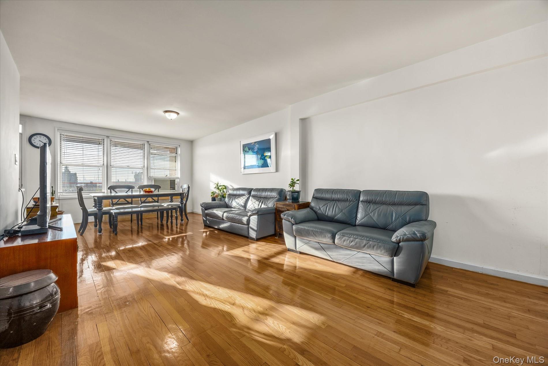 Coop 150th Queens, NY 11354, MLS-967637-3