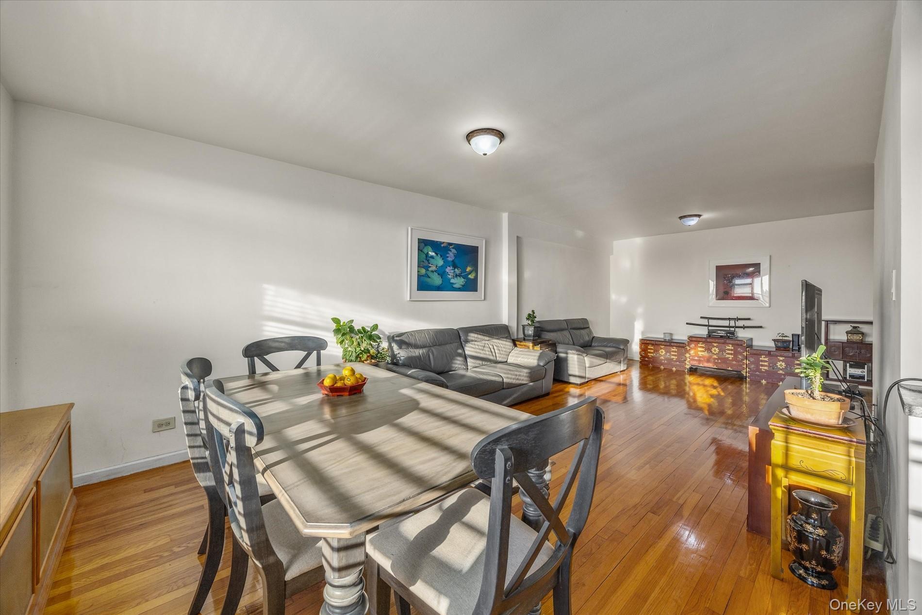 Coop 150th Queens, NY 11354, MLS-967637-6