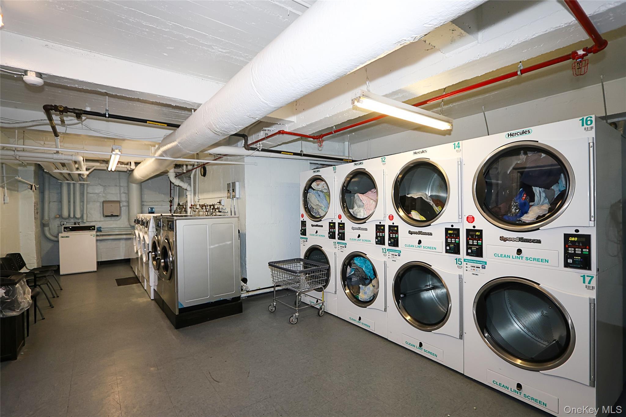 Coop Union Queens, NY 11364, MLS-967659-19