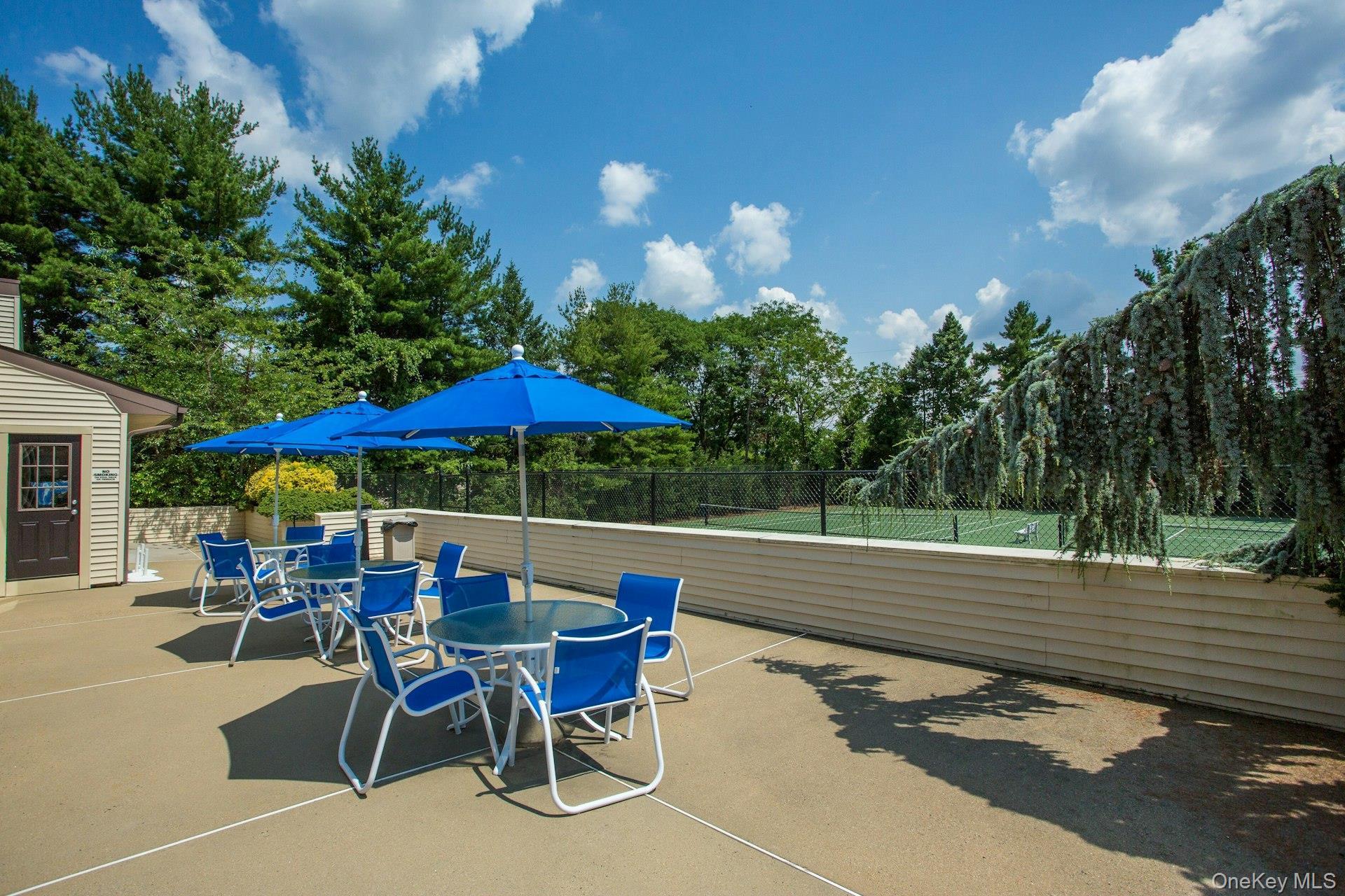 Condo Linnet  Nassau County, NY 11030, MLS-967661-25