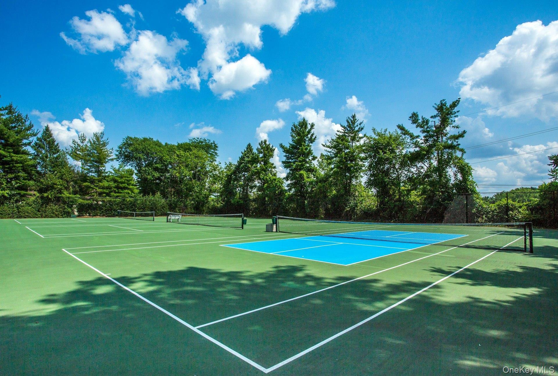 Condo Linnet  Nassau County, NY 11030, MLS-967661-26