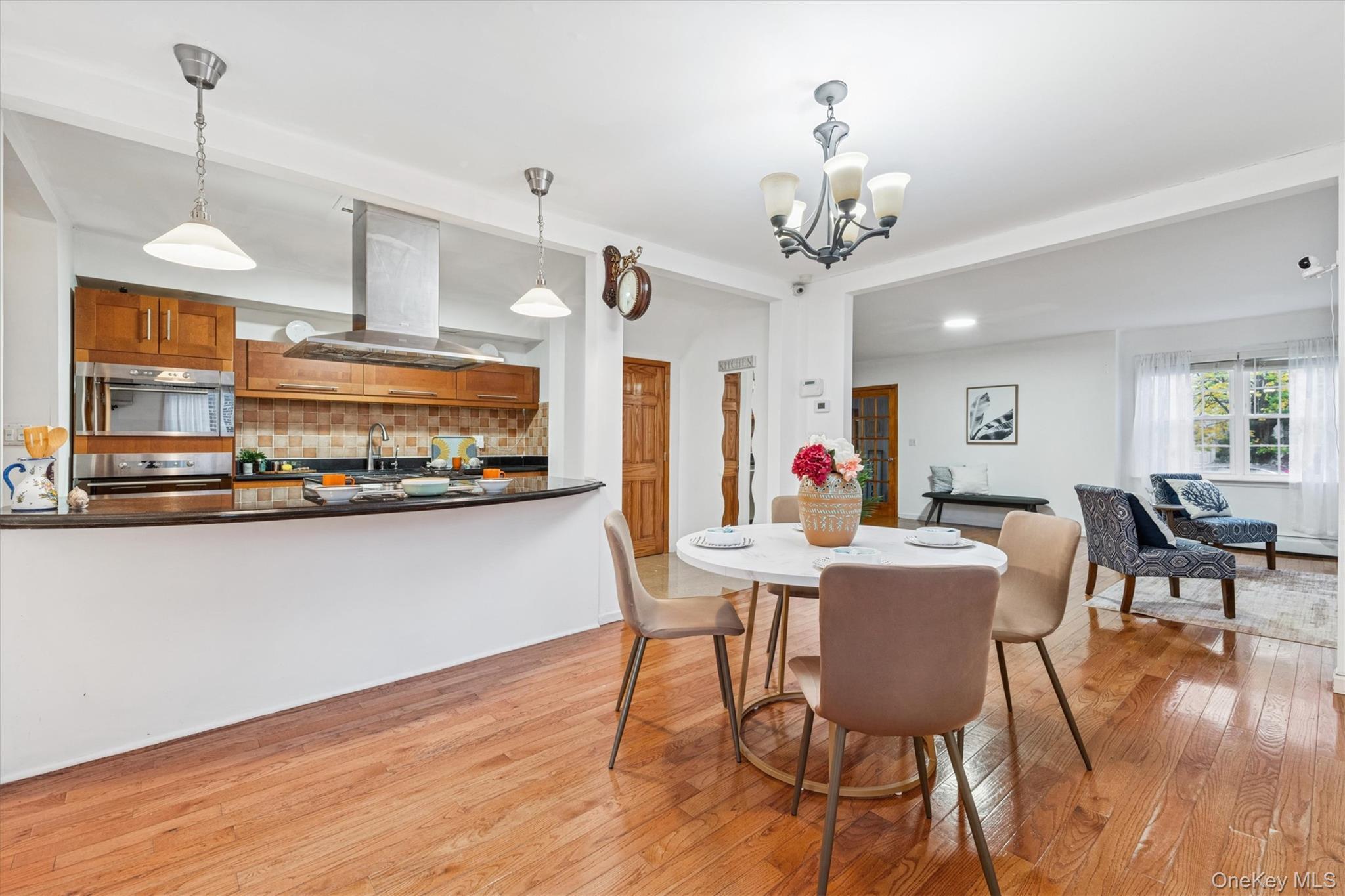 Single Family 161st  Queens, NY 11358, MLS-967777-6