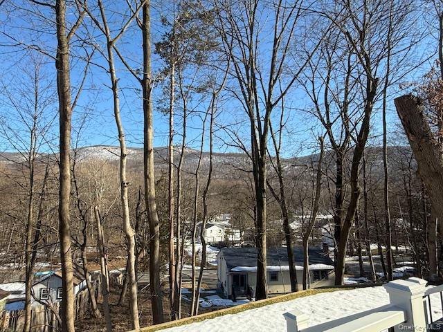 Single Family Wesley  Dutchess County, NY 12508, MLS-967840-22