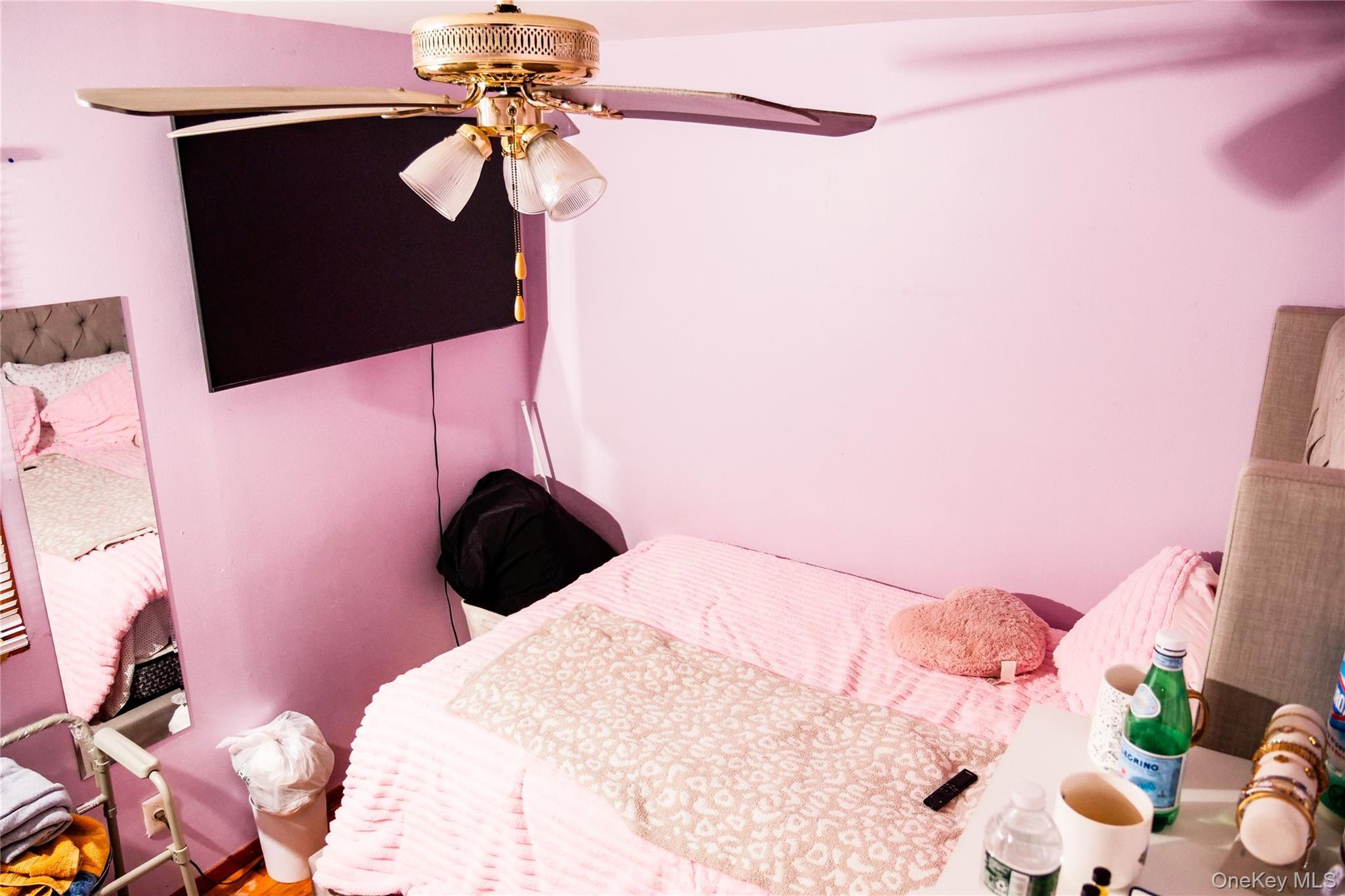 Single Family 149th  Queens, NY 11422, MLS-967860-10