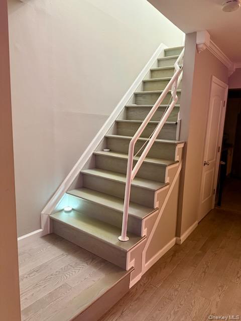 Single Family 225th  Queens, NY 11413, MLS-967891-19