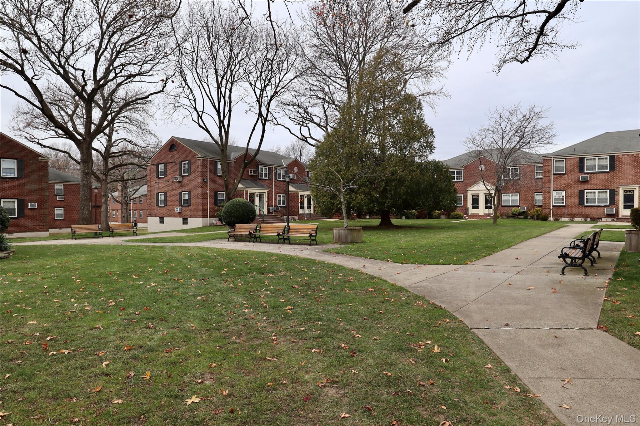 Coop 73  Queens, NY 11364, MLS-967902-17