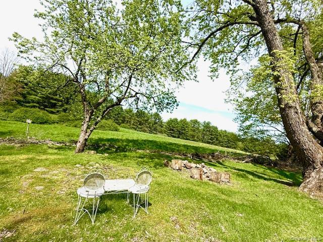 Single Family Airport Sullivan County, NY 12732, MLS-967910-2
