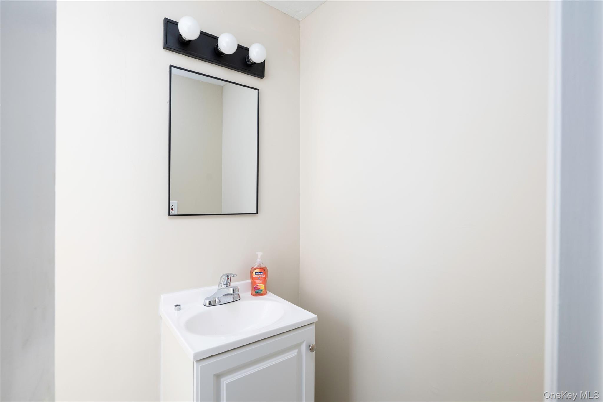 Single Family Blueberry  Dutchess County, NY 12582, MLS-967964-19