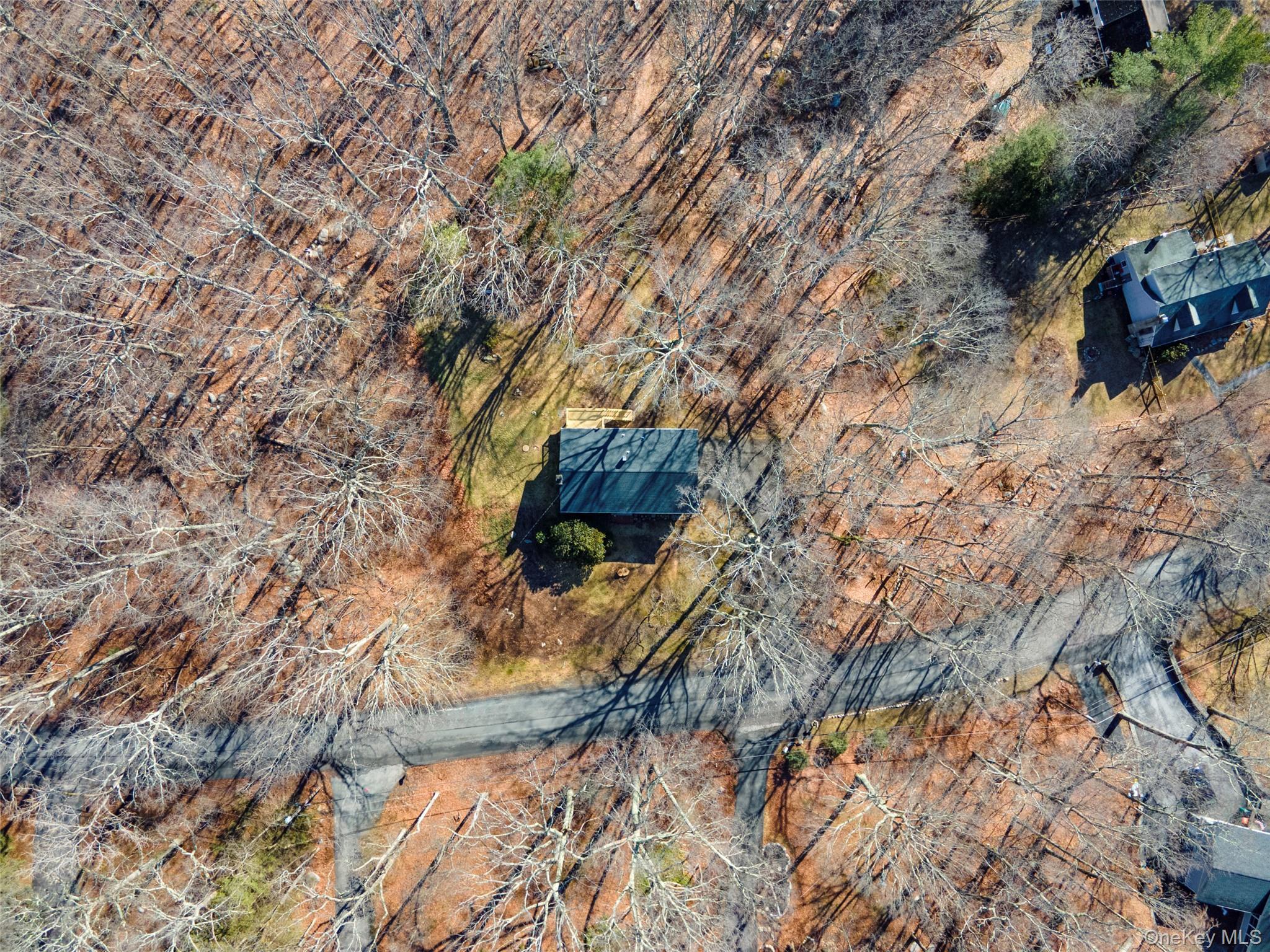 Single Family Blueberry  Dutchess County, NY 12582, MLS-967964-27